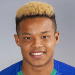 К. Каваками  