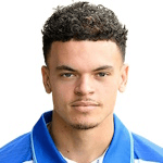 Т. ван Гильст  