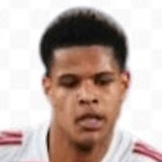 Рафаэль Ле Ген