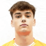 Дані Мартін  