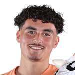 Л. Фердинанд  