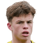 Т. Верхейен  