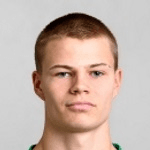 Д. Інгварссон