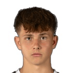 В. Витальош  