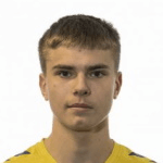 Л. Хеймиссон