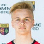 Н. Васильев  