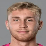 Д. Трейхель  