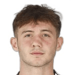 Мехмет Джан Гюлерер