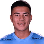 К. Кастильо