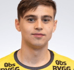 Е. Дервискадич  