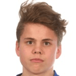 Т. Свендсен  