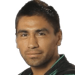 Н. Пелайтай  