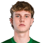 Л. Берзиньш