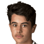 Д. Вайдманн  