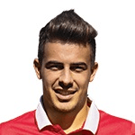 Дж. Скаккабароцци  