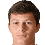 Н. Вукасович