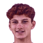 Н. Ахмедзаде