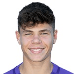 Л. Пазоурек