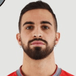 В. Париджини