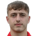 Н. Айхингер  