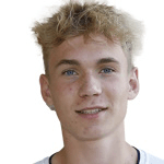 Ф. Андерсен  