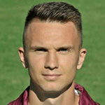 Д. Баумгартнер  