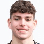 Д. Карлсбакк  