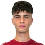 Тудор Лукачи  