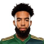 Е. Вільямсон