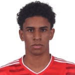 Паулу Виктор