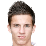 Д. Холльвиц