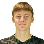 Н. Михальски