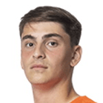 Д. Монастирлис  