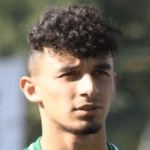 Г. Байрактар