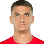 Н. Цветкович