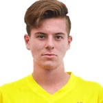 М. Гаспарини