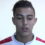 З. Эль Варди