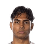 Й. Карлссон  