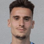 В. Вучичевич  