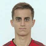 Л. Эрколани  