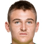 Н. Польстер  