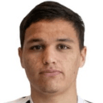 Н. Феррейра