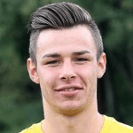 Н. Кижевски  