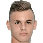 Никола Тричкович  