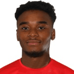 Д. Моттли-Генри