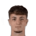 Е. Ніколозі