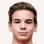 Гонсалу Неграо