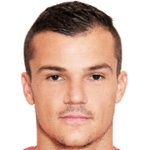 Ненад Шльивич