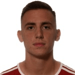 Огнєн Гашевич