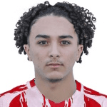 Э. Эль Хамлиши